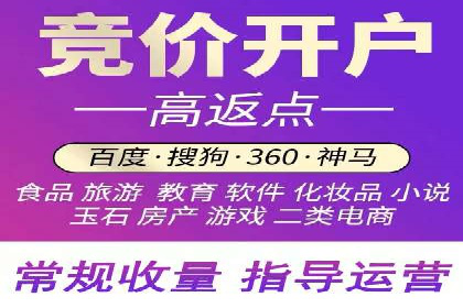SEM代运营机构成功案例：优化策略与效果分析